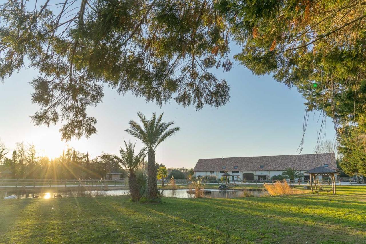 Abri Cosy - Suite Romantique En Camargue Saint-Gilles  Exterior photo